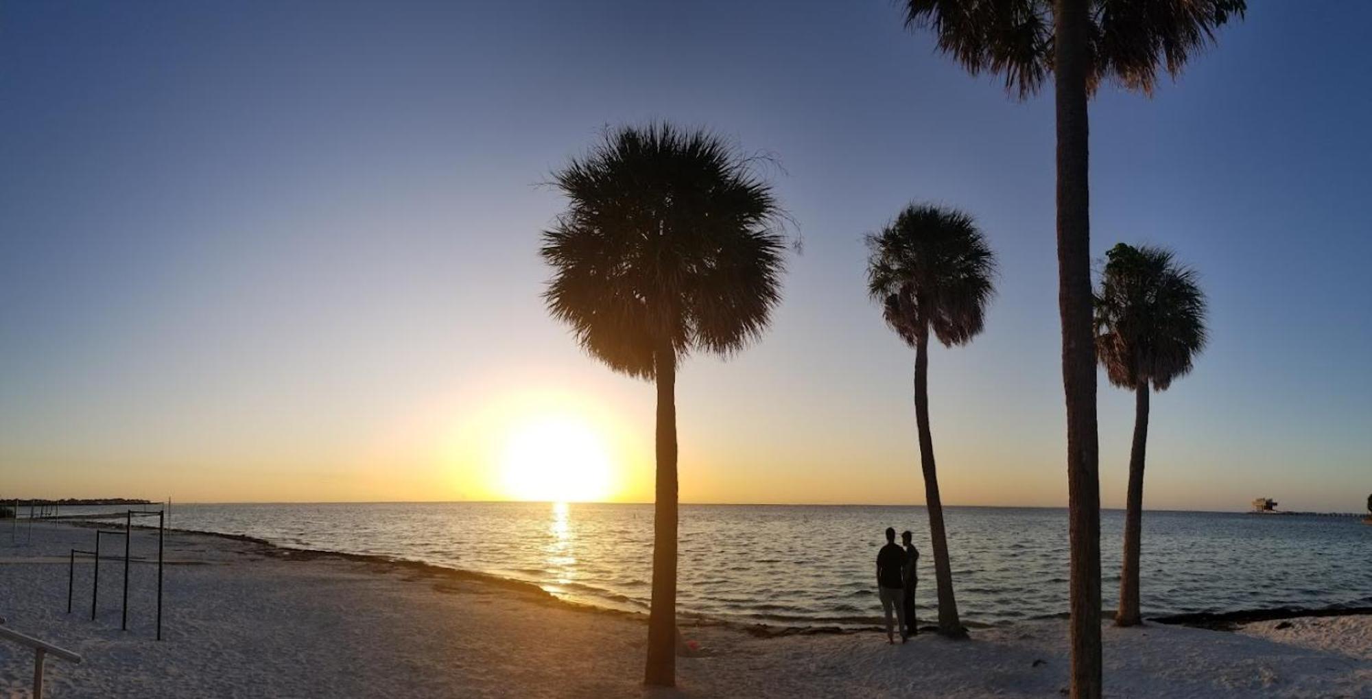 Elegant Studio Apartment In Downtown St Pete - Great Community Events! Sankt Petersburg Exterior foto